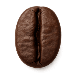 Coffee Bean